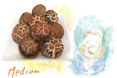画像1: 生しいたけ [Medium]  5cm位の標準サイズ 約8個入2袋 (1)