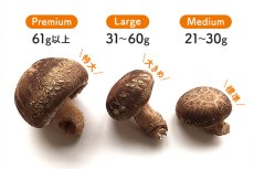 画像8: 生しいたけ [Large]  6cm位の大きなサイズ 約6個入り2袋　 (8)